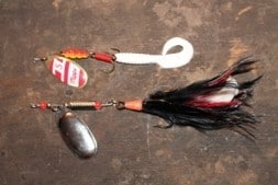 Learn About Lures and Baits